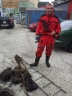 Korene z kanalizačnej šachty